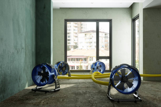 Best Water damage restoration cost  in Montrose, PA